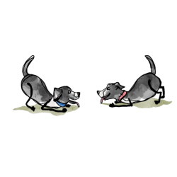 Max the Pup Stickers
