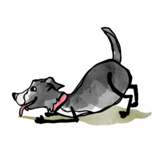 Maddy the Dog Vinyl Sticker